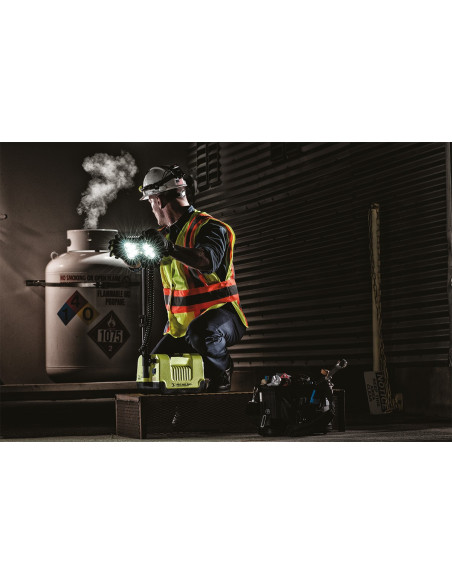 Projecteur PELI rechargeable RALS 9455Z0